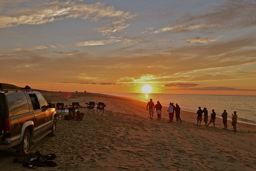 Take a Dune Tour with Art’s Dune Tours