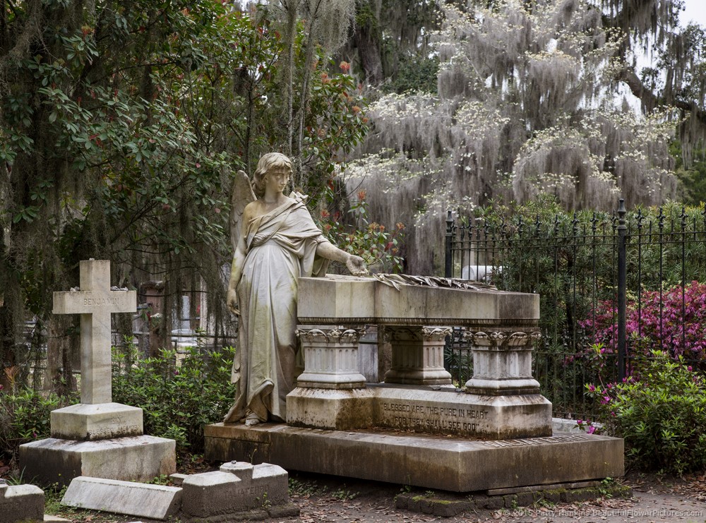 Bonaventure Cemetery